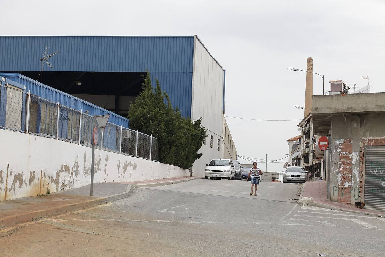 Invasión de mosquitos en Campos del Río