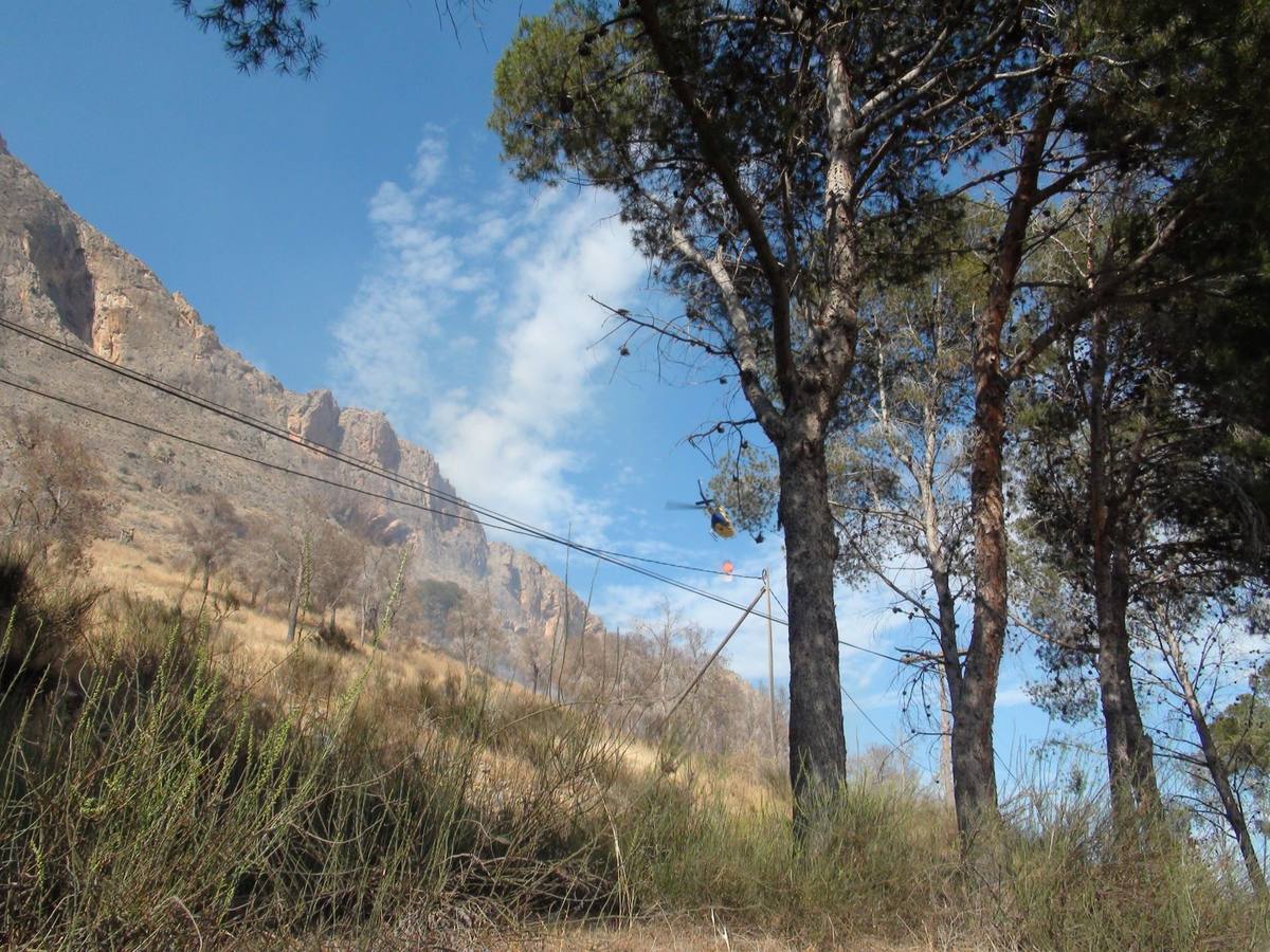 Un incendio calcina casi cuatro hectáreas de monte en Orihuela