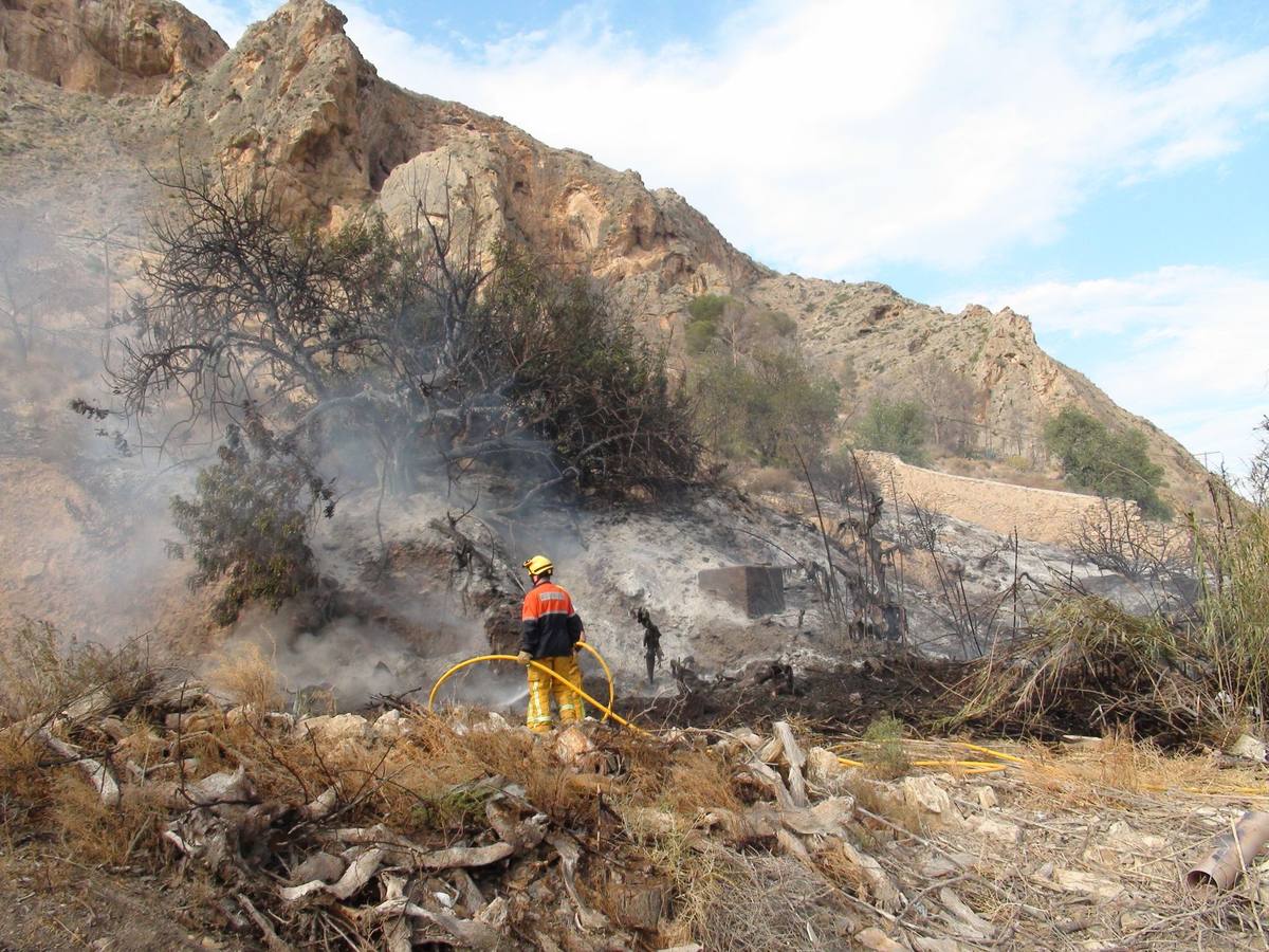 Un incendio calcina casi cuatro hectáreas de monte en Orihuela