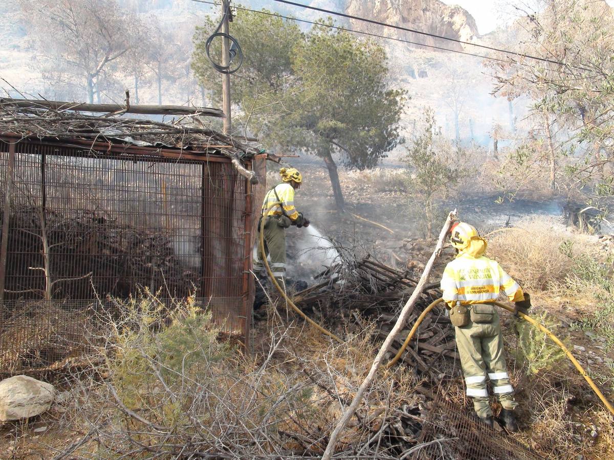 Un incendio calcina casi cuatro hectáreas de monte en Orihuela