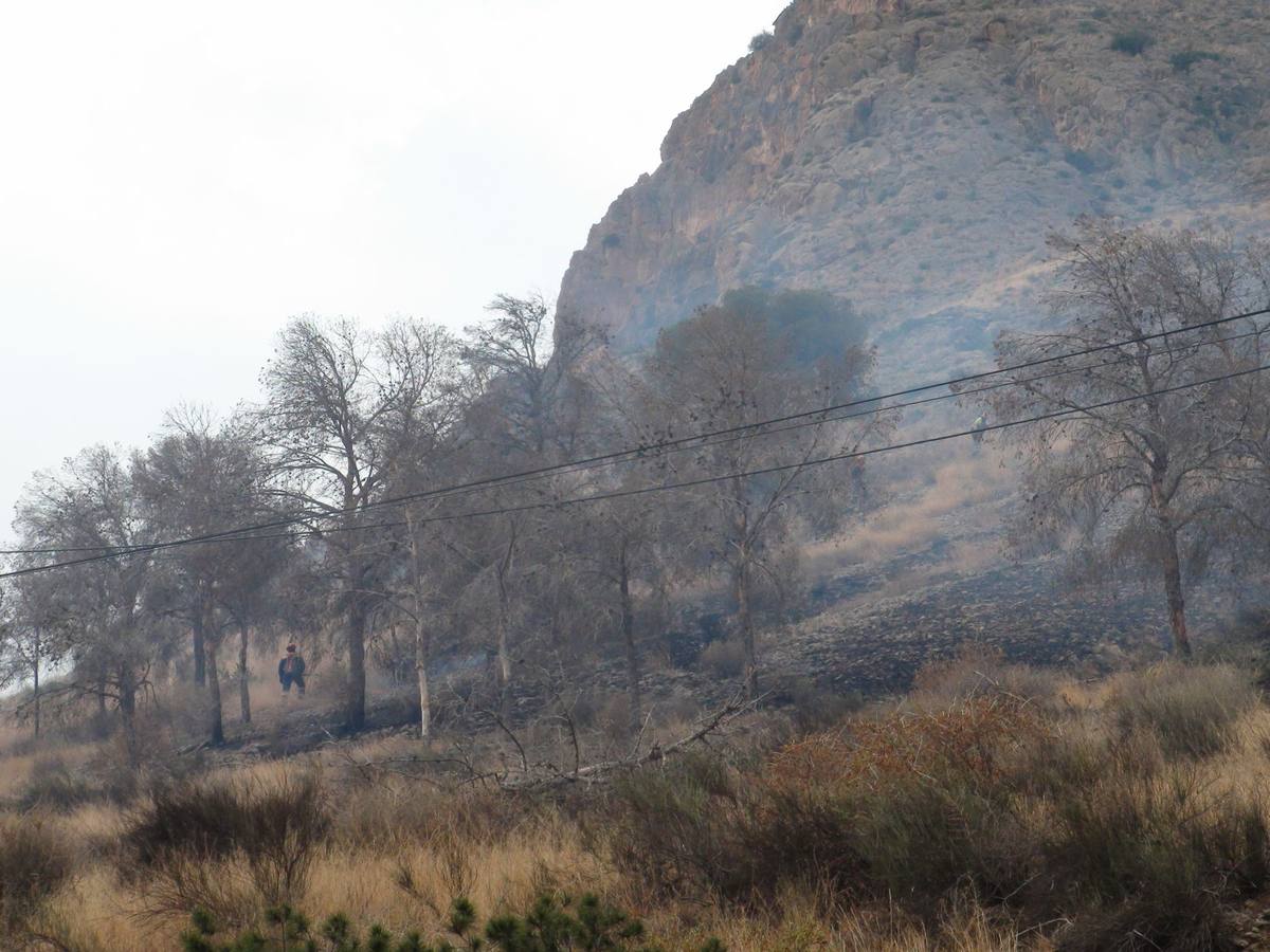 Un incendio calcina casi cuatro hectáreas de monte en Orihuela