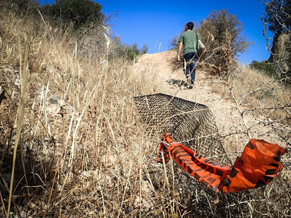 Los pinos del Monte San Miguel no llegan vivos a los 100 días