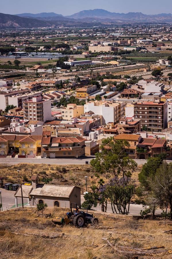 El Ayuntamiento retira los pinos secos de la sierras