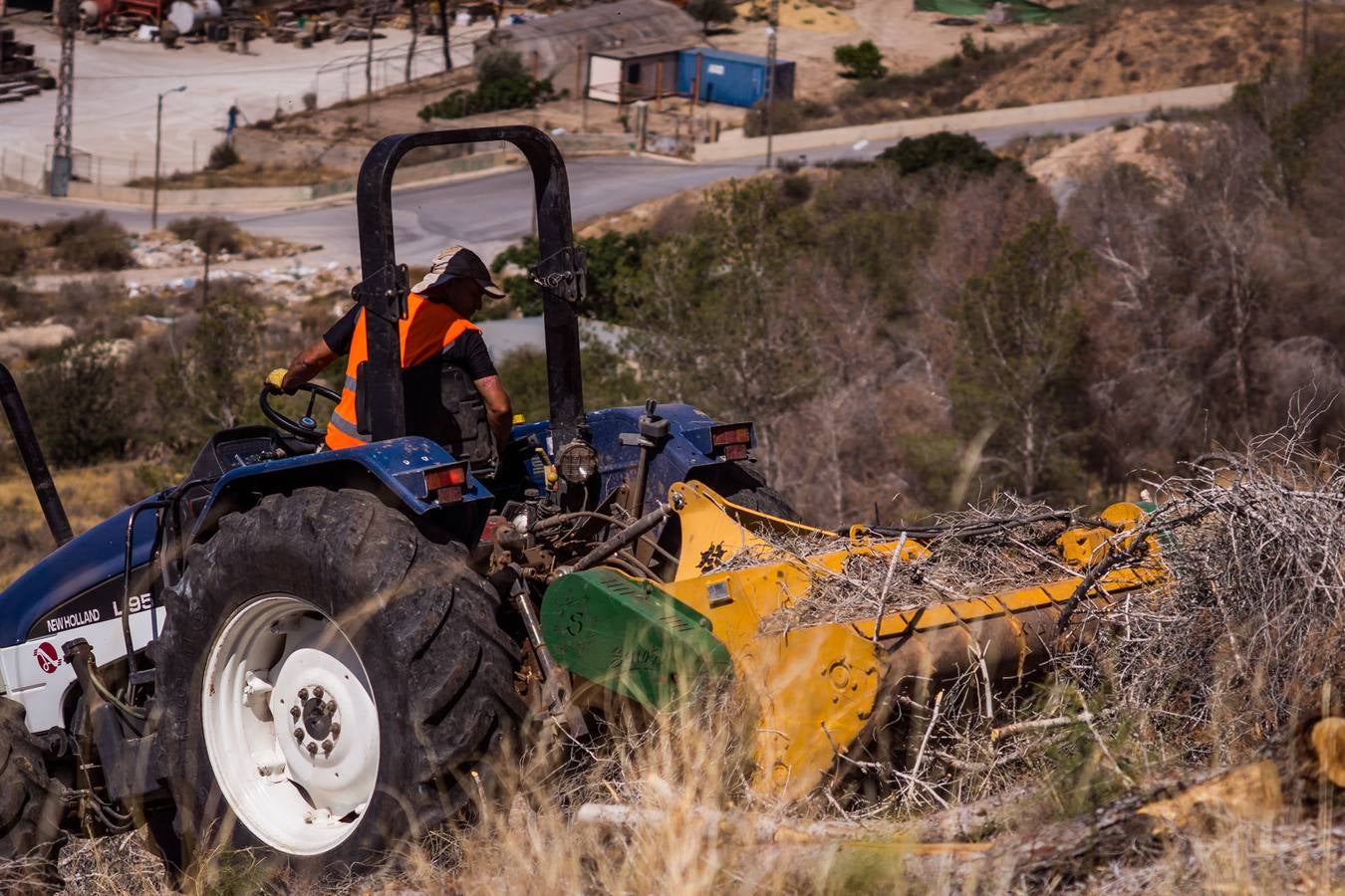 El Ayuntamiento retira los pinos secos de la sierras