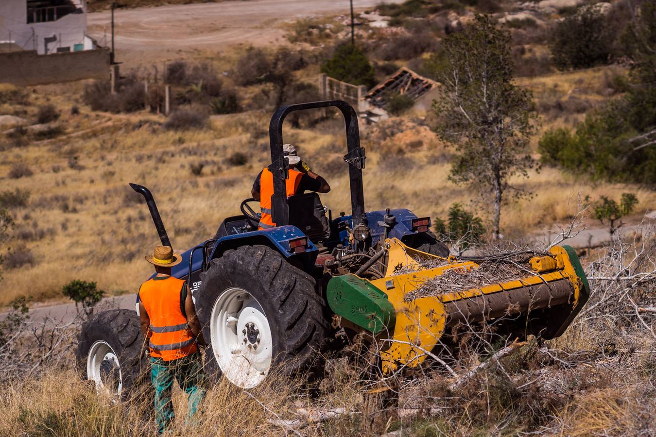 El Ayuntamiento retira los pinos secos de la sierras