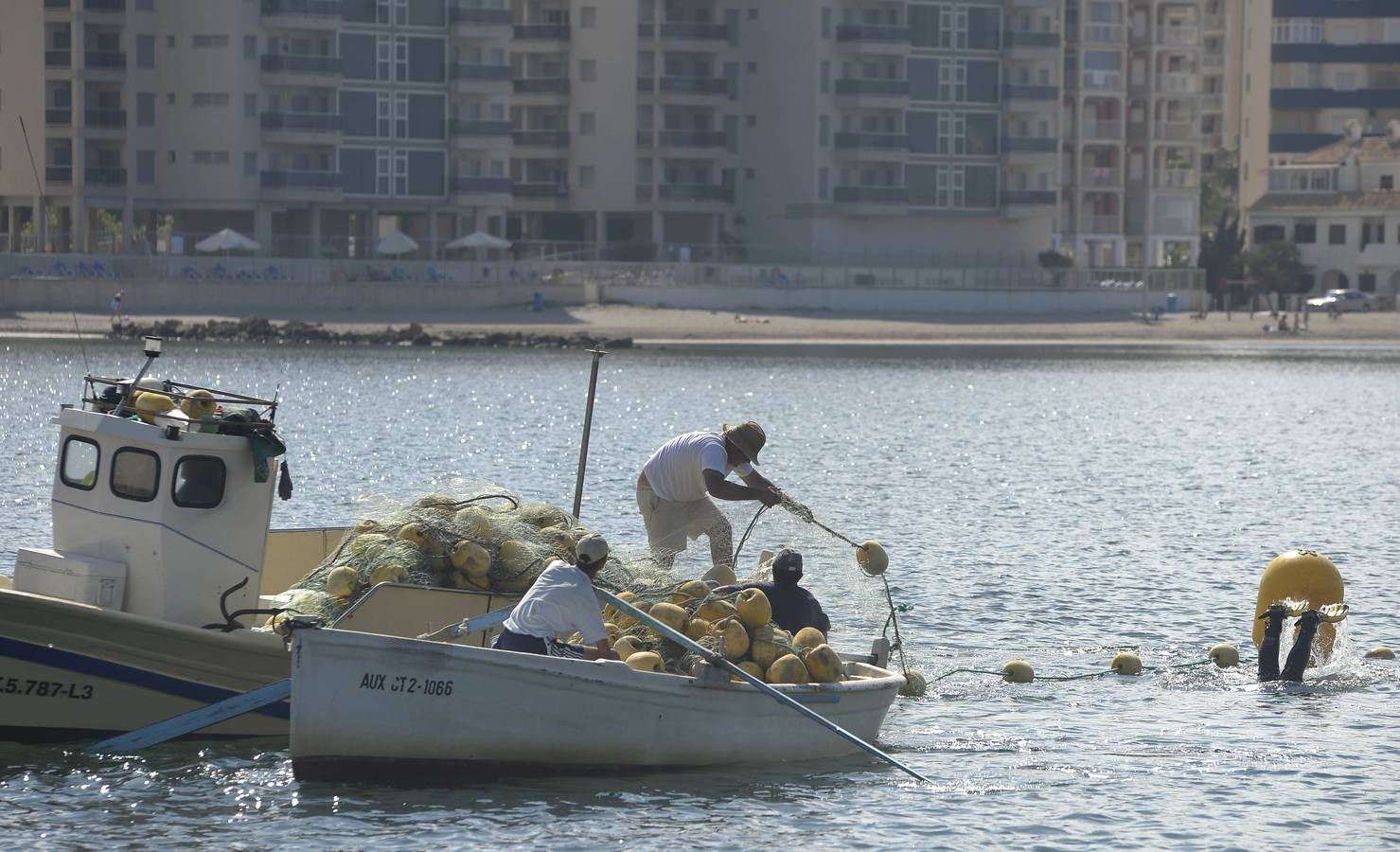 (02-06) La Consejería de Agricultura y Agua instala 43 kilómetros de redes dentro de las actuaciones del Plan de Control de Medusas en el Mar Menor, que habilita cada año la Comunidad y con el que se pretende evitar su entrada a las zonas de baño