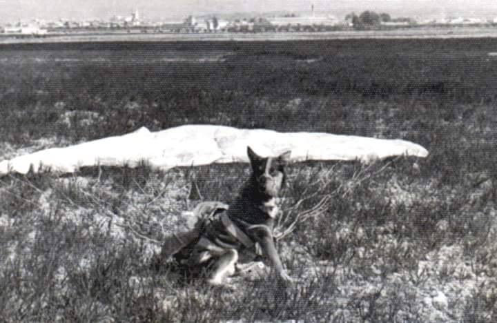 Las mejores fotos históricas de la Ezapac