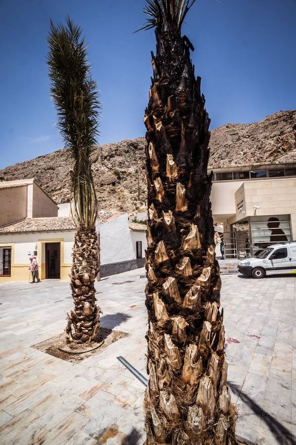 La FMH reclama más vigilancia en el Rincón Hernandiano