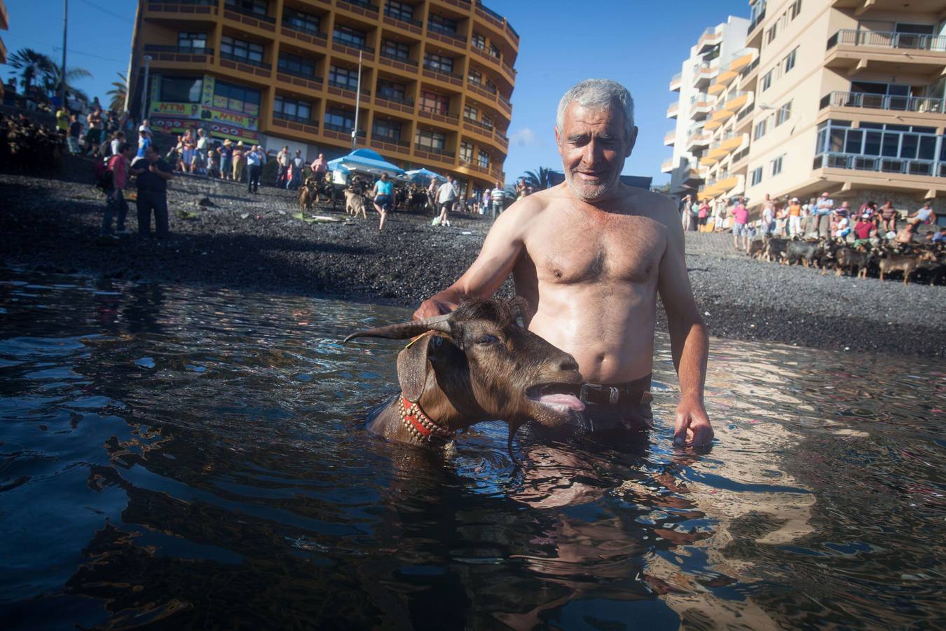 ¡Al agua cabras!