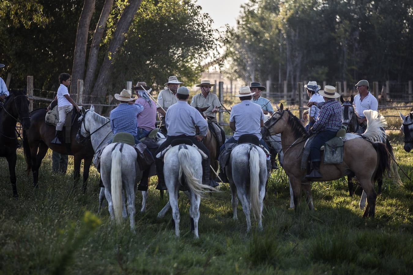 La &#039;Saca de Yeguas&#039; pasa por Doñana