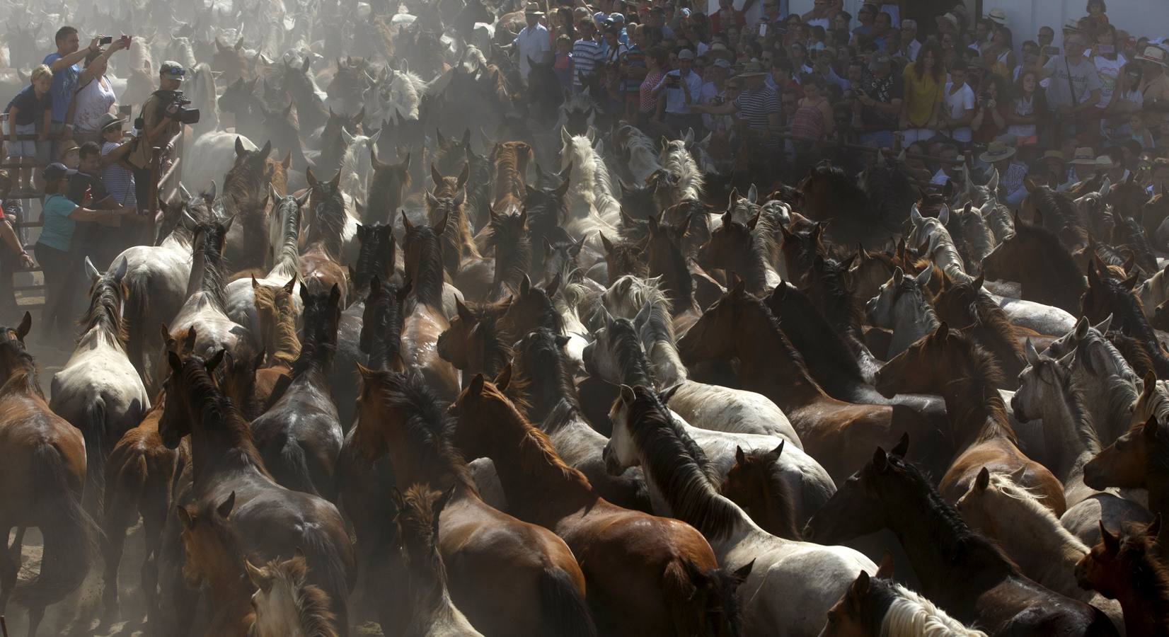 La &#039;Saca de Yeguas&#039; pasa por Doñana