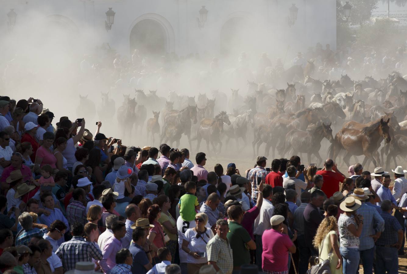 La &#039;Saca de Yeguas&#039; pasa por Doñana