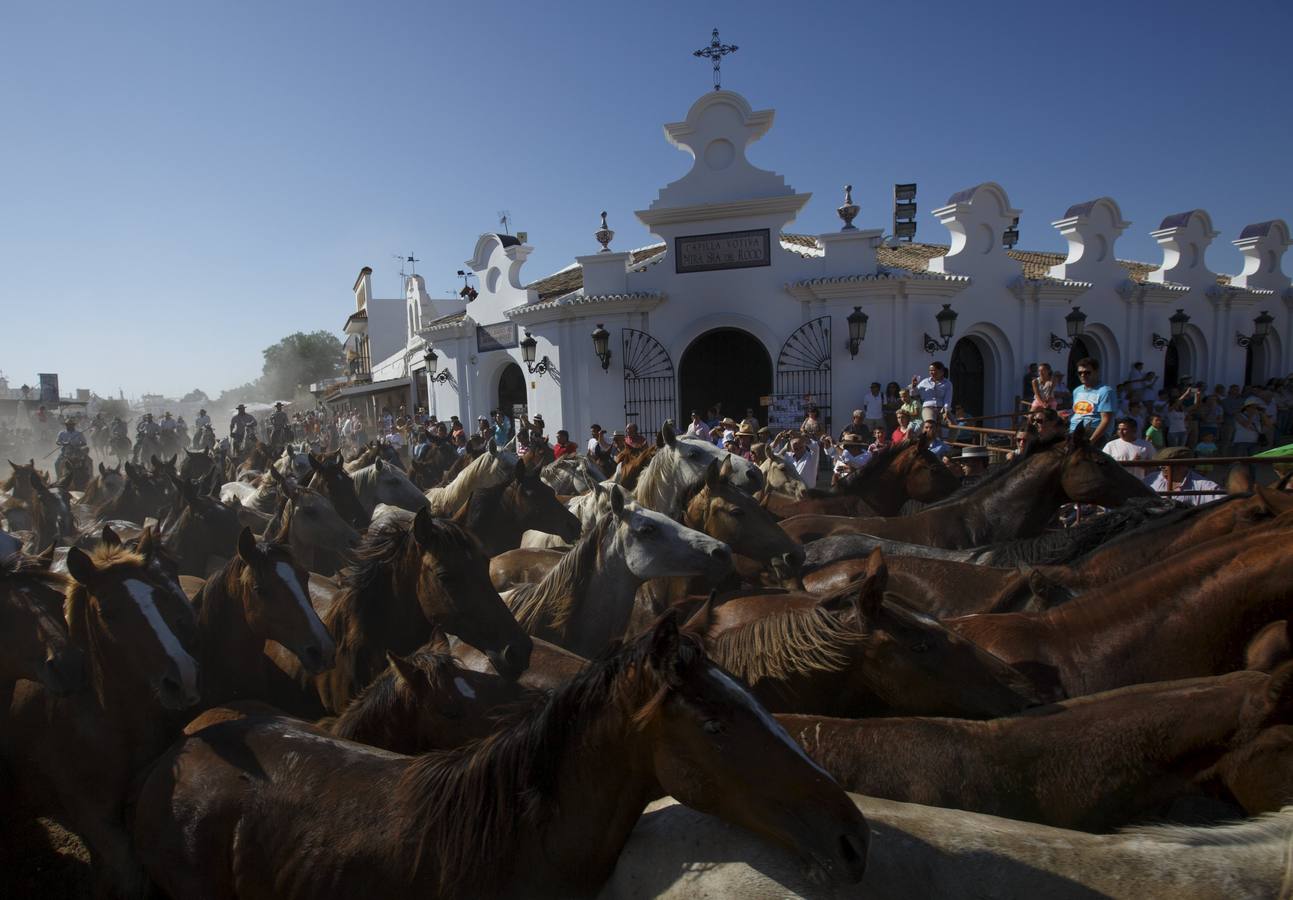 La &#039;Saca de Yeguas&#039; pasa por Doñana