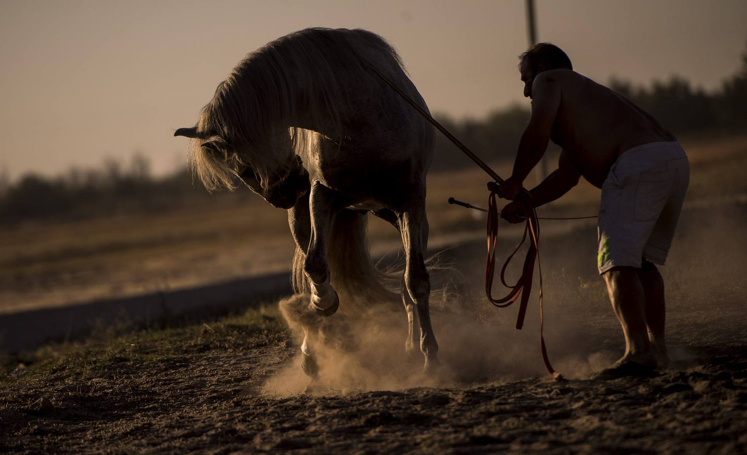 La &#039;Saca de Yeguas&#039; pasa por Doñana