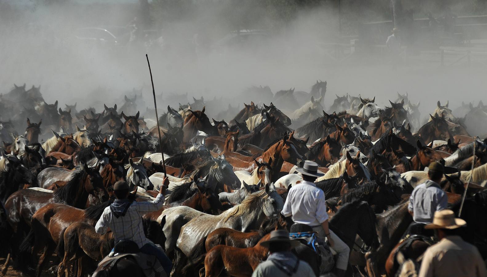 La &#039;Saca de Yeguas&#039; pasa por Doñana