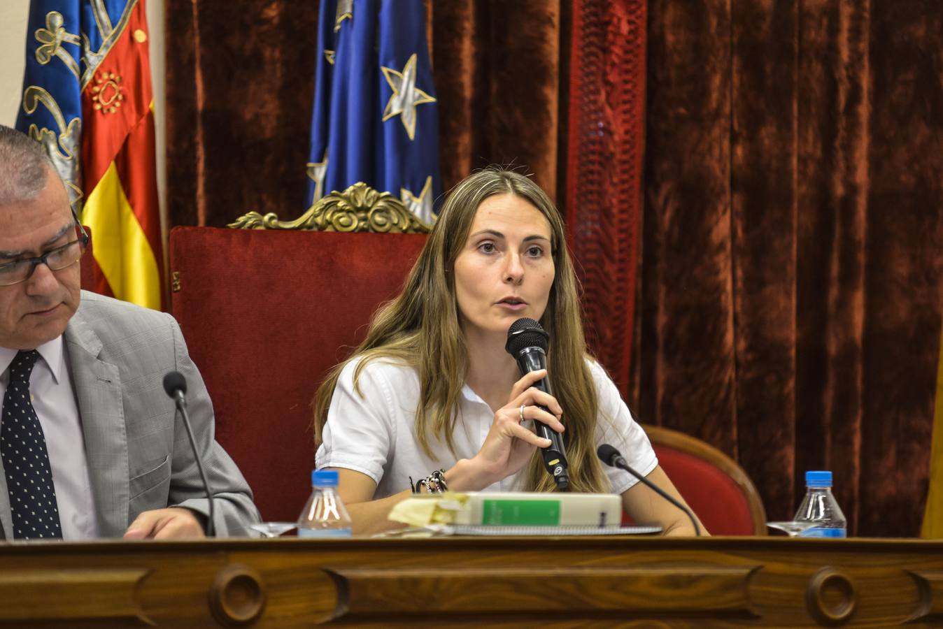 Pleno en el Ayuntamiento de Elche