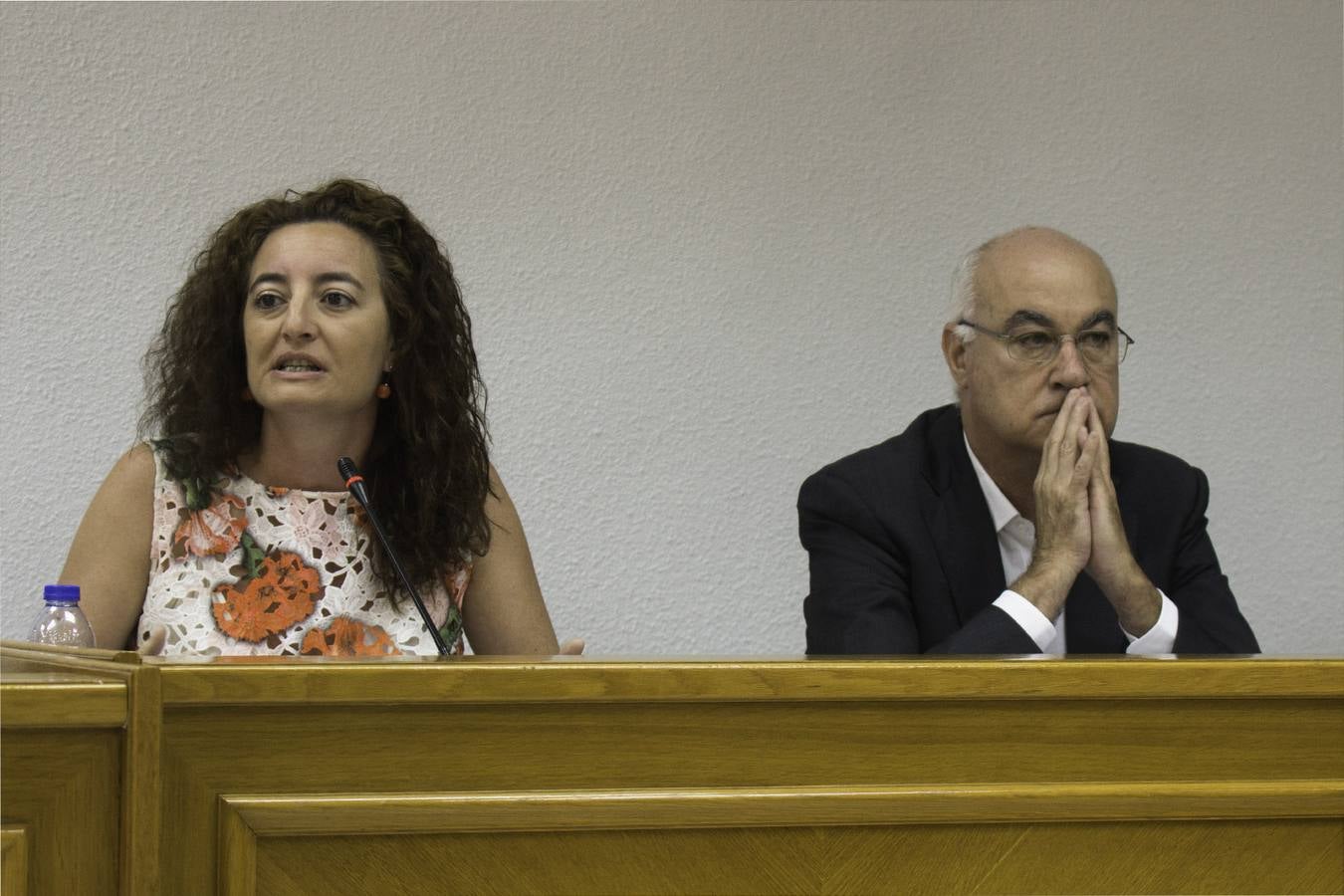 Pleno del Ayuntamiento de Torrevieja