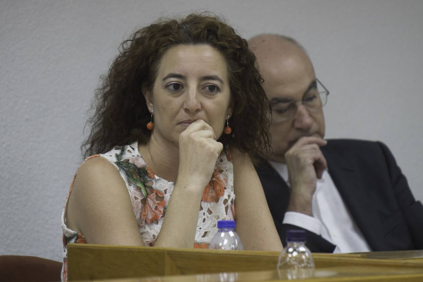 Pleno del Ayuntamiento de Torrevieja