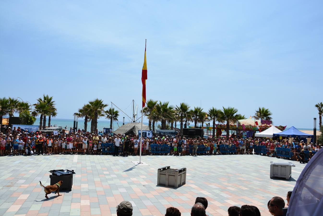 Jornada de convivencia de las Fuerzas Armadas en La Mata