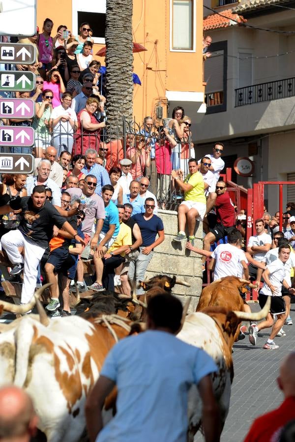 II Encierro de Moratalla