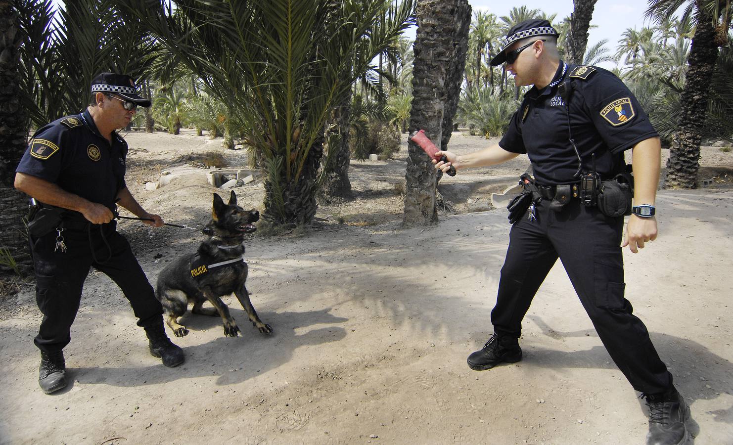 Unidad canina de la Policía Local de Elche