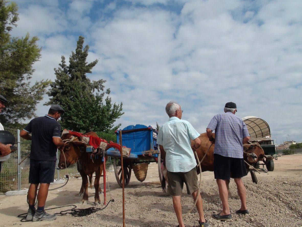 Carrera de burros y asnos de Dolores