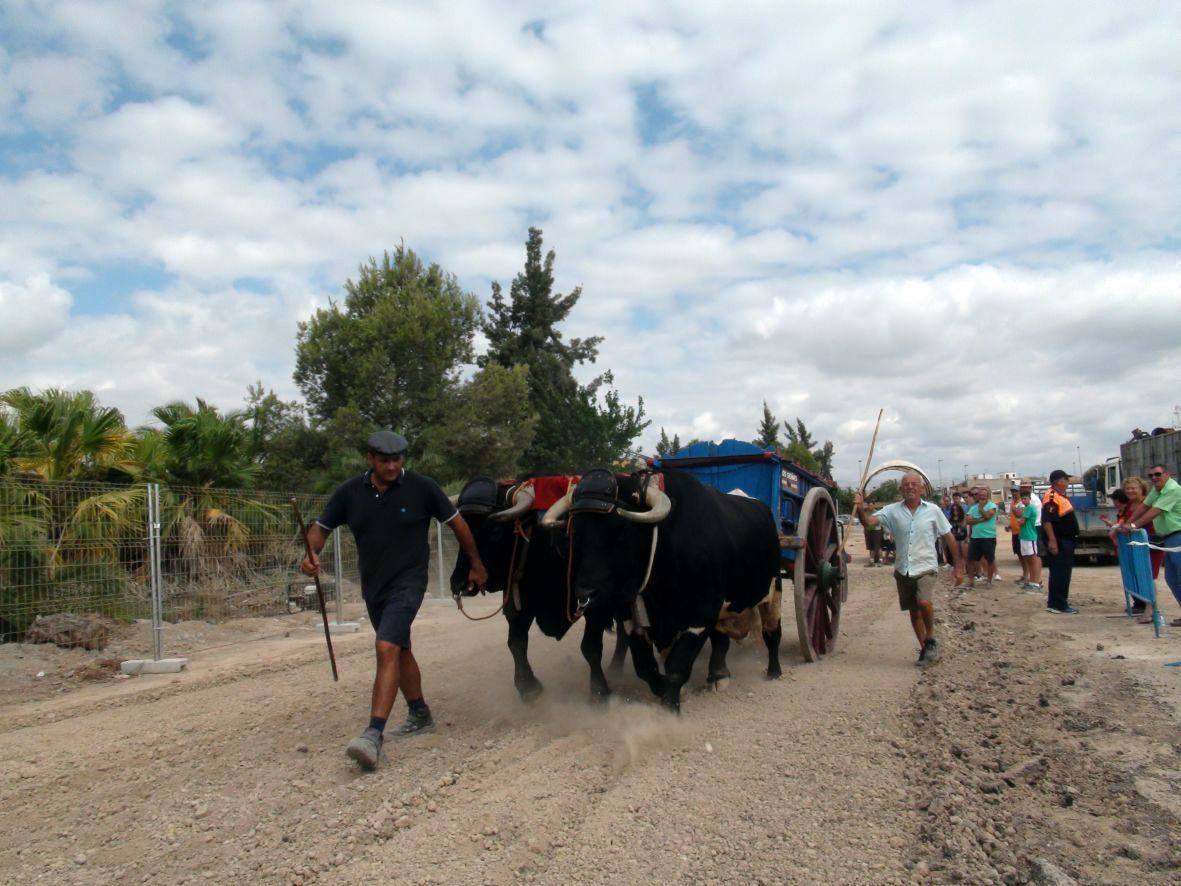 Carrera de burros y asnos de Dolores