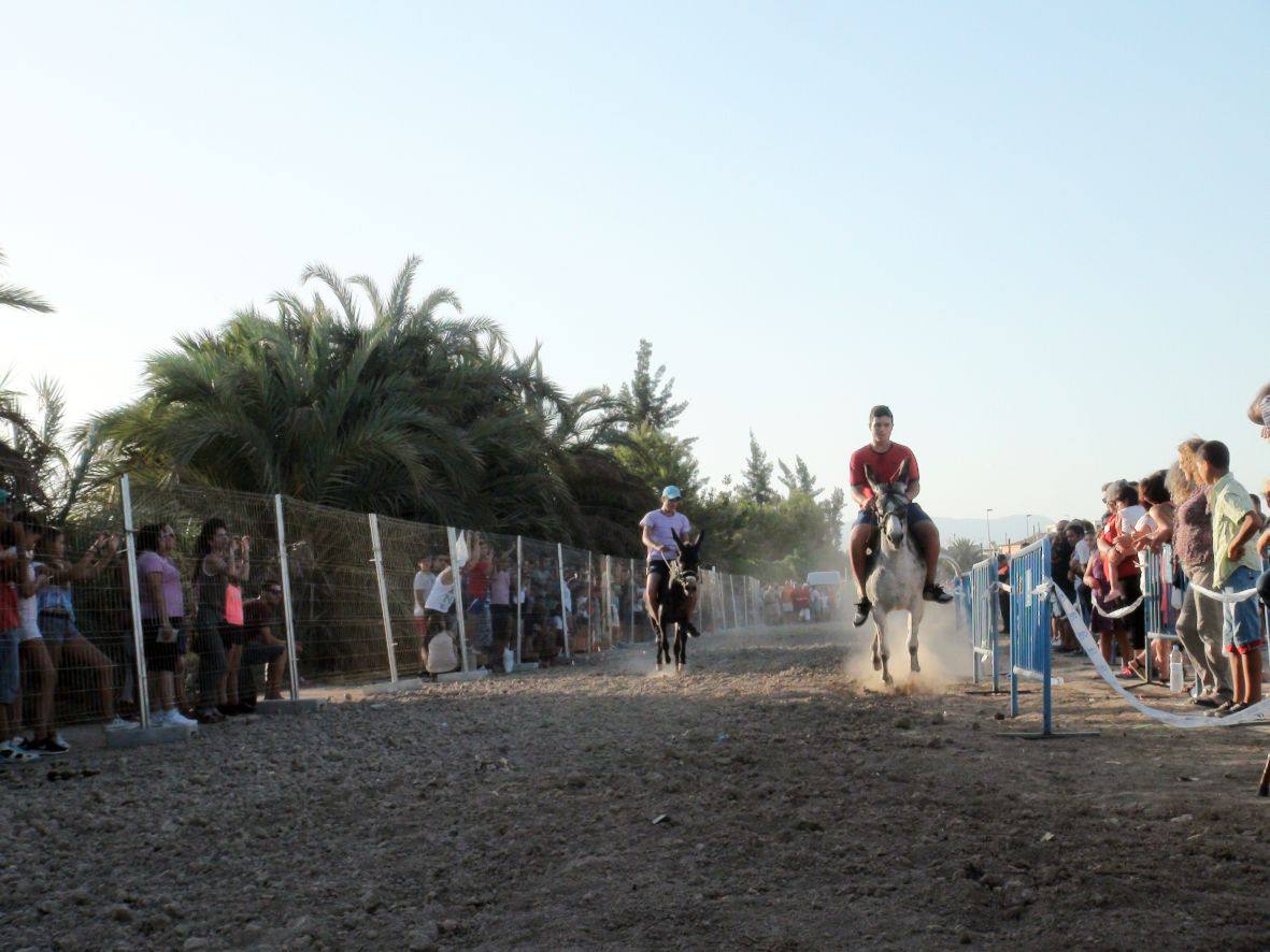 Carrera de burros y asnos de Dolores