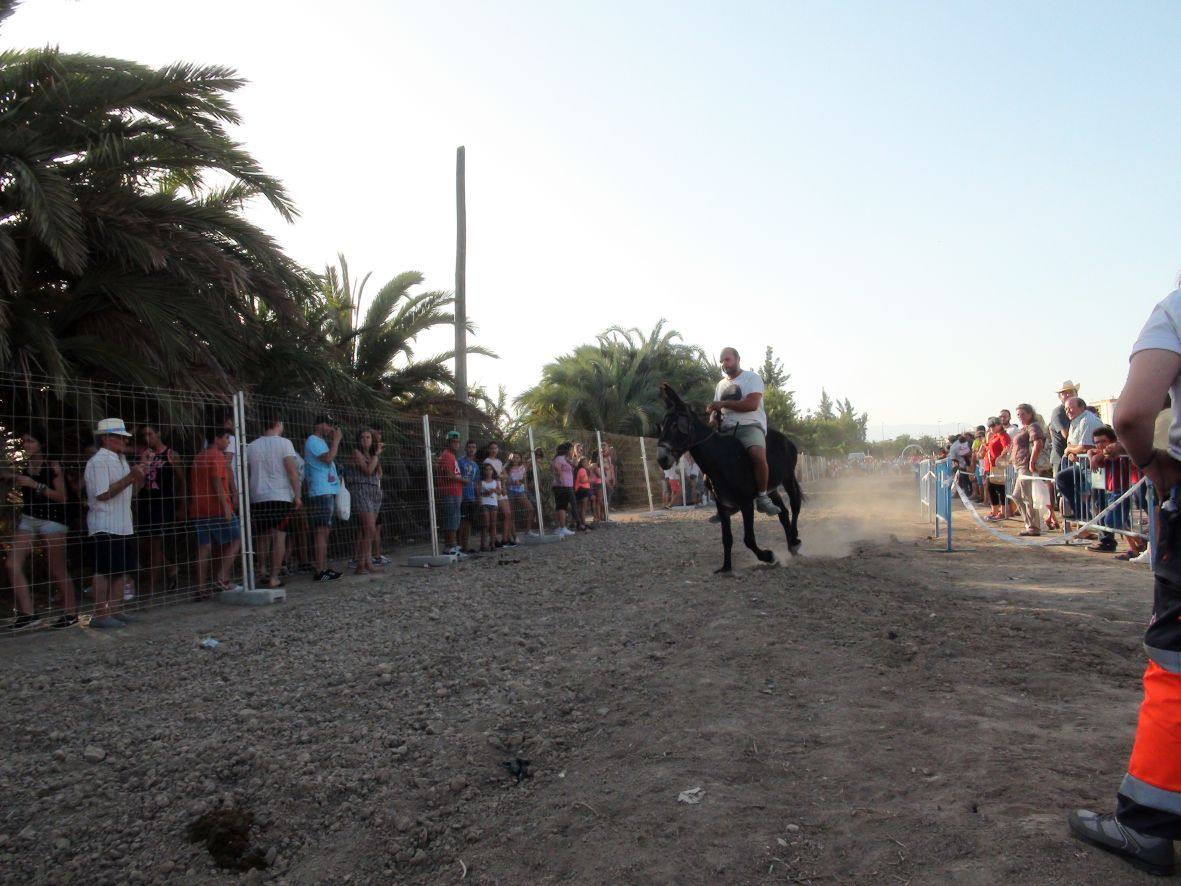 Carrera de burros y asnos de Dolores
