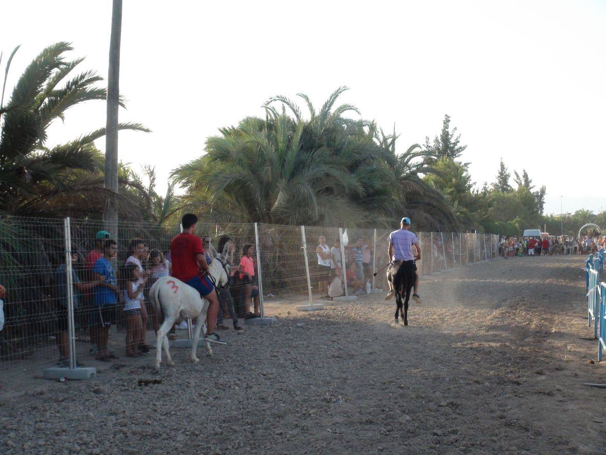 Carrera de burros y asnos de Dolores