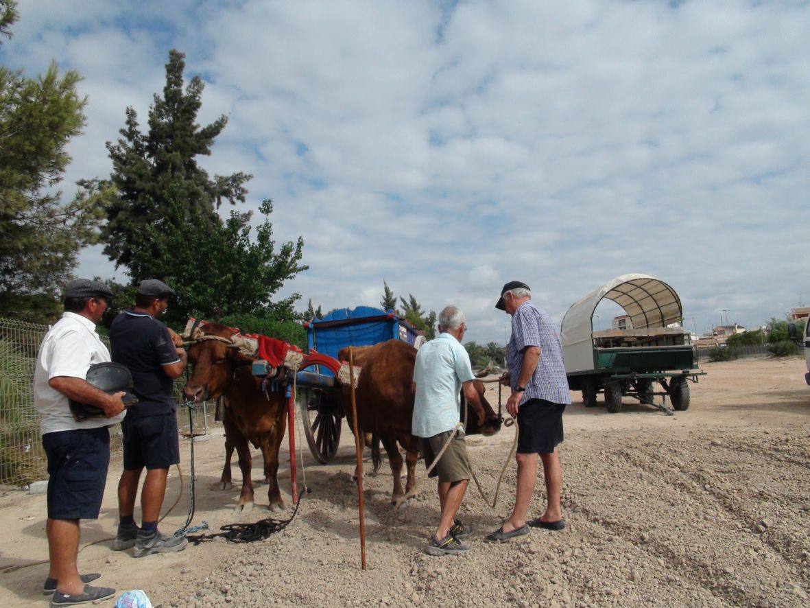 Carrera de burros y asnos de Dolores