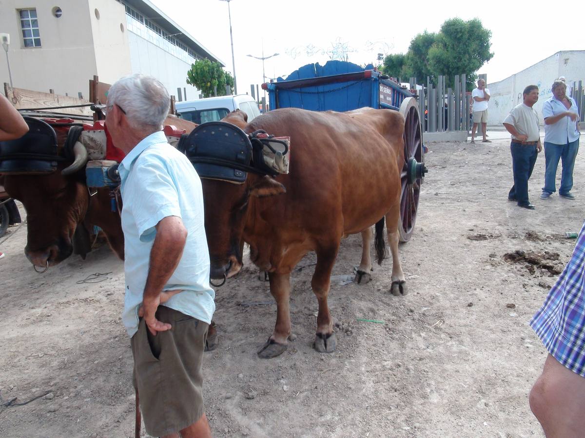 Carrera de burros y asnos de Dolores