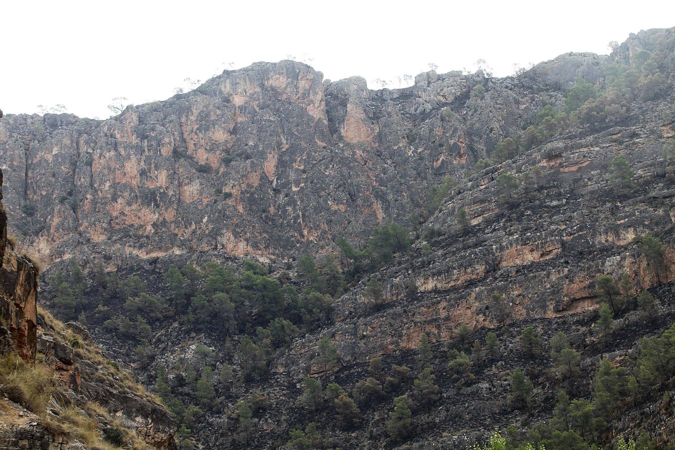 Así ha quedado el Cañón de Almadenes tras el fuego