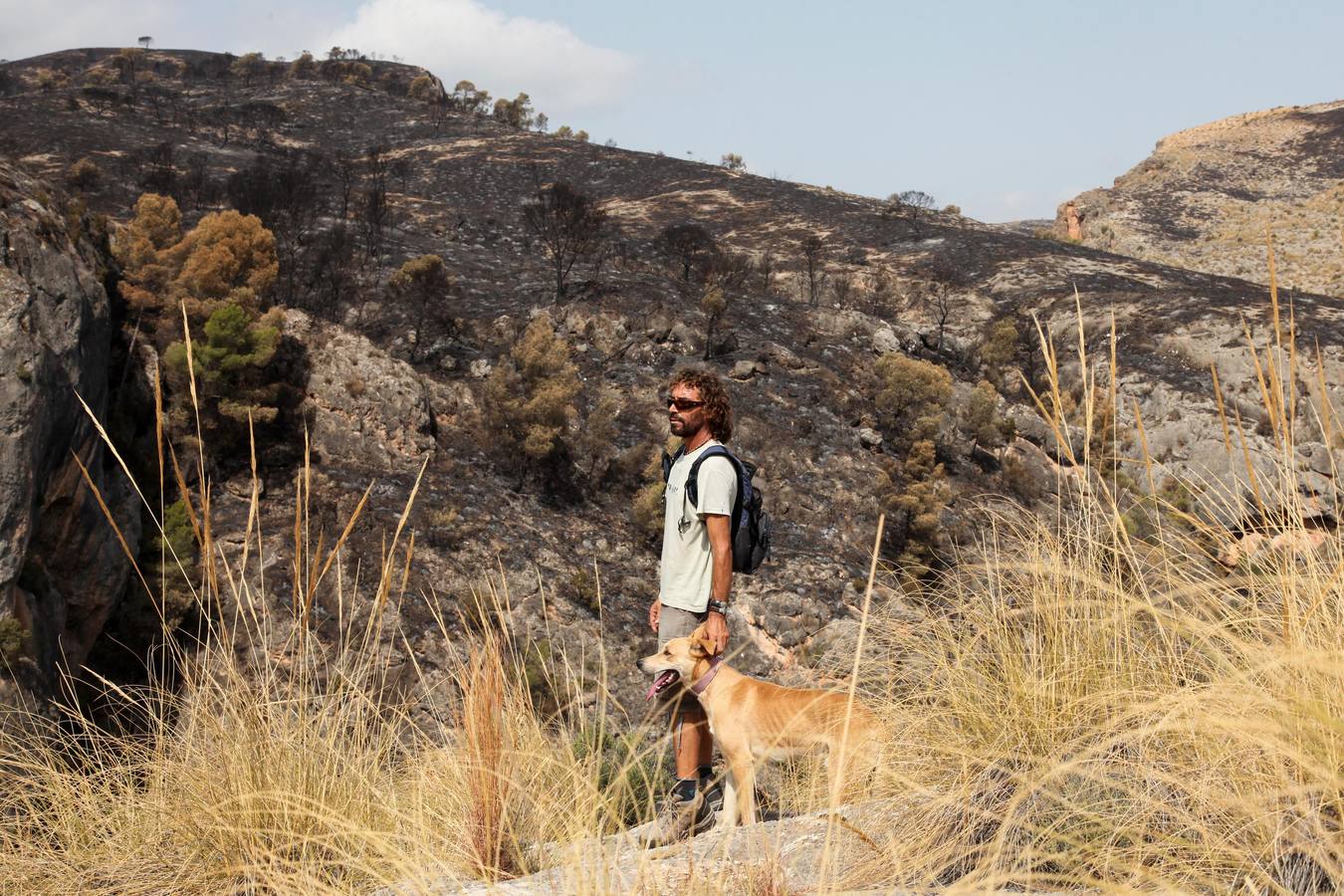 Así ha quedado el Cañón de Almadenes tras el fuego