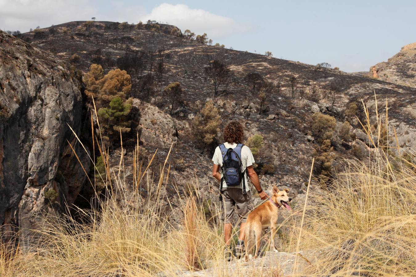 Así ha quedado el Cañón de Almadenes tras el fuego