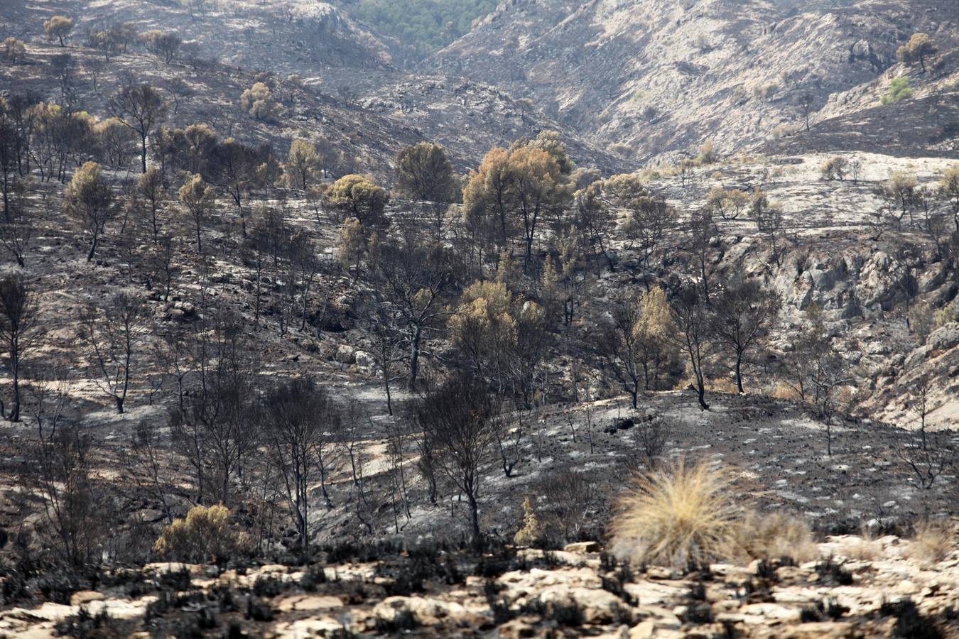 Así ha quedado el Cañón de Almadenes tras el fuego
