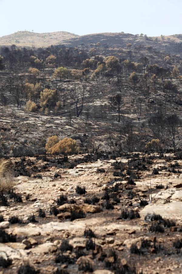 Así ha quedado el Cañón de Almadenes tras el fuego