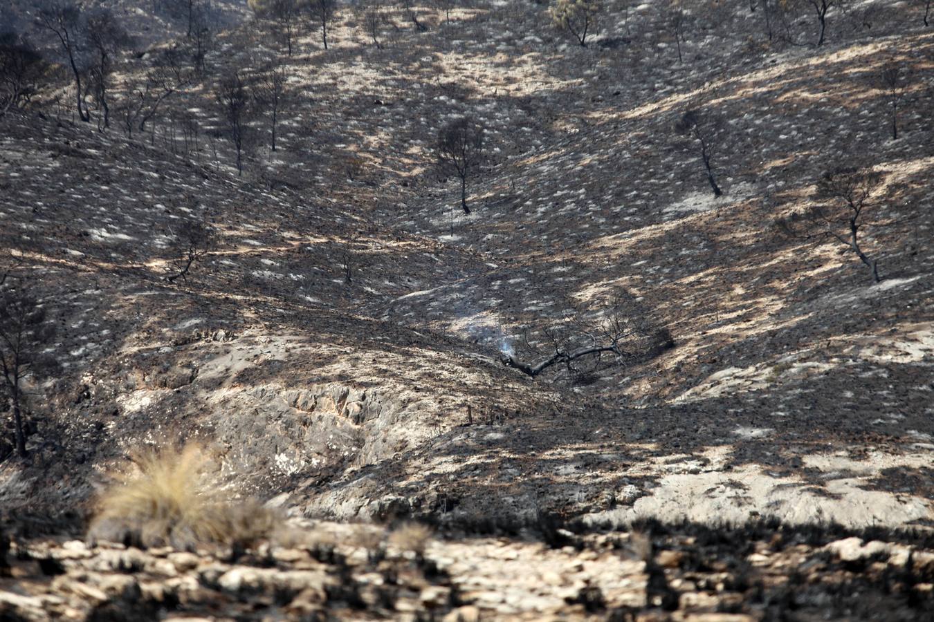 Así ha quedado el Cañón de Almadenes tras el fuego