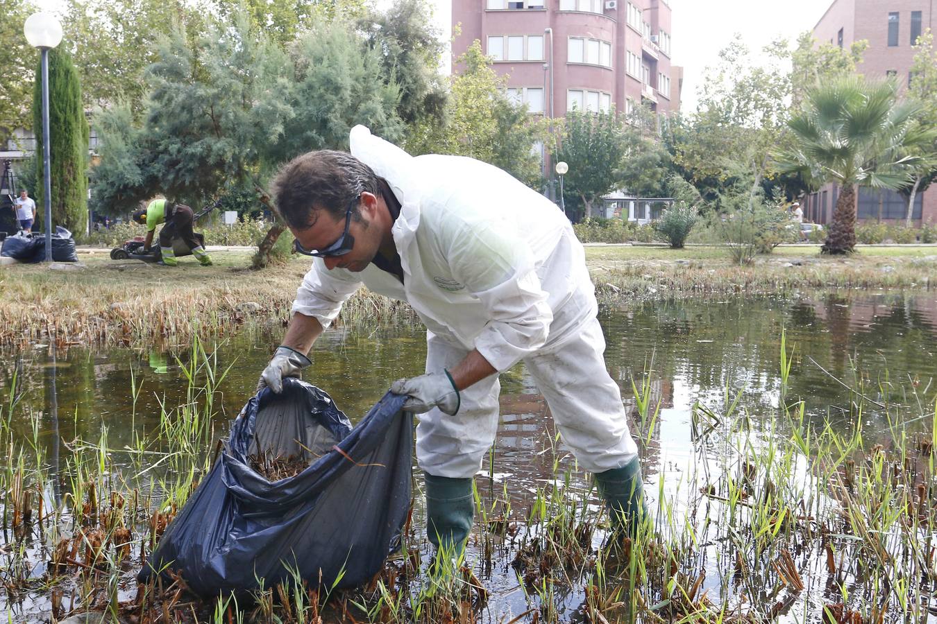 Batallón de limpieza en los parques de Murcia