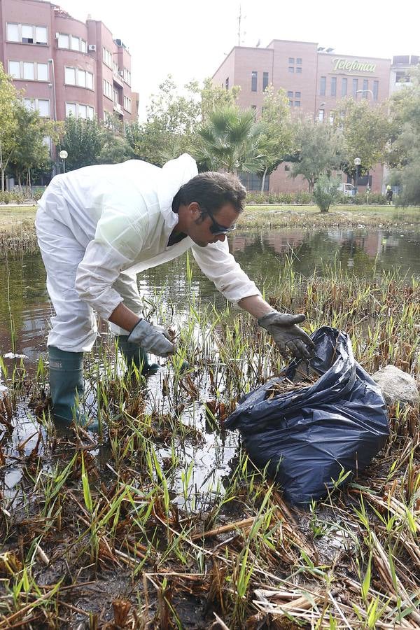 Batallón de limpieza en los parques de Murcia
