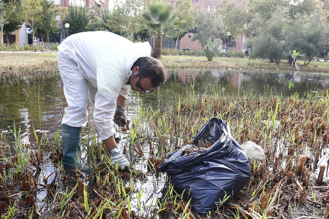 Batallón de limpieza en los parques de Murcia