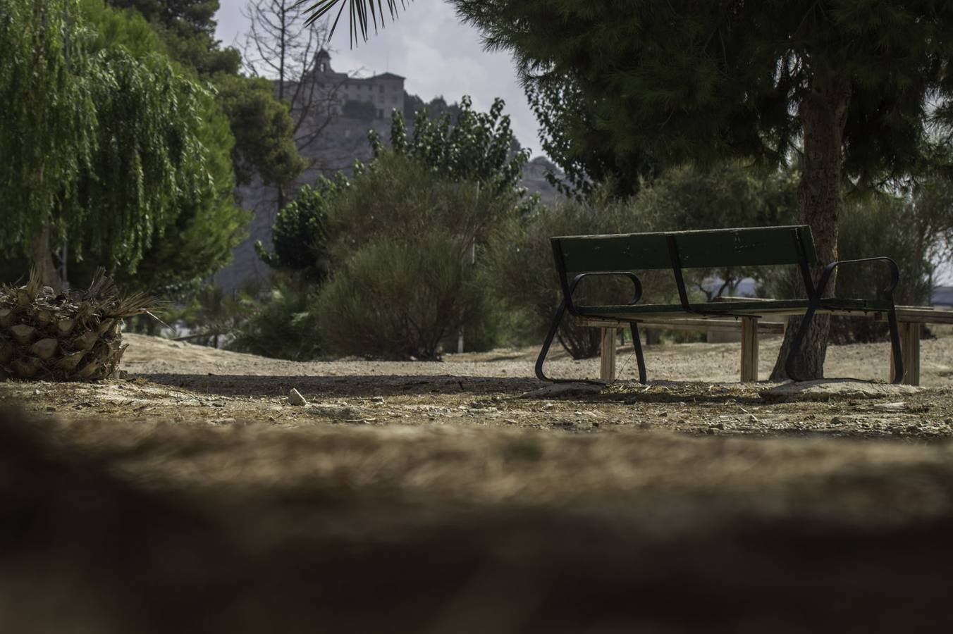 Los socialistas reclaman al PP que solvente las deficiencias de limpieza en las pedanías de Orihuela