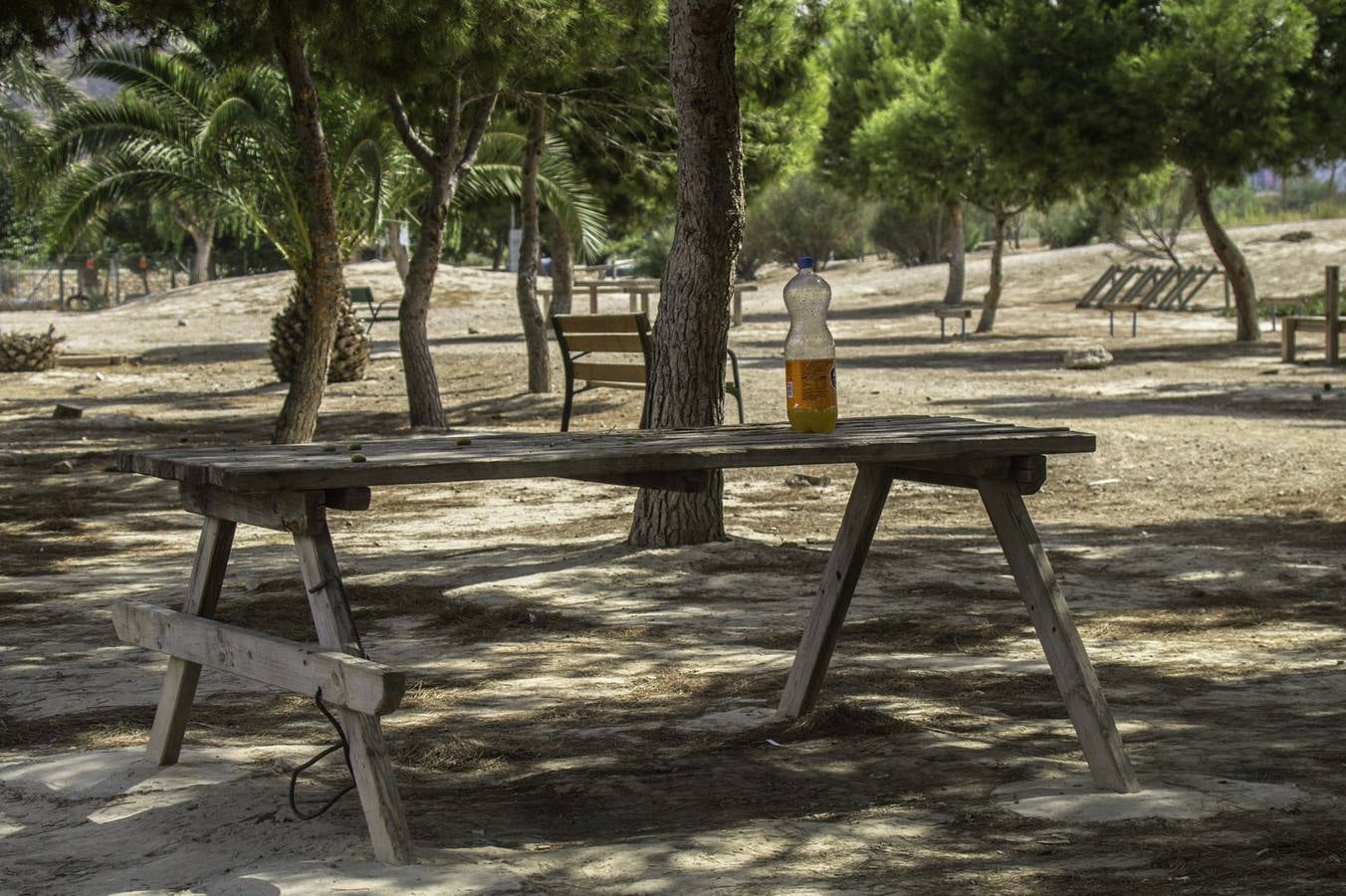 Los socialistas reclaman al PP que solvente las deficiencias de limpieza en las pedanías de Orihuela