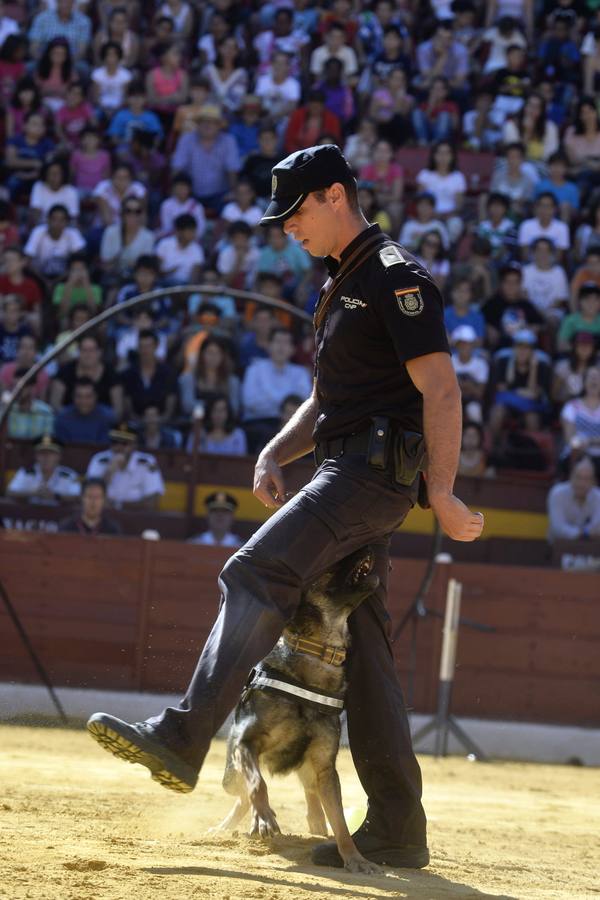 La Policía exhibe sus &#039;armas&#039;