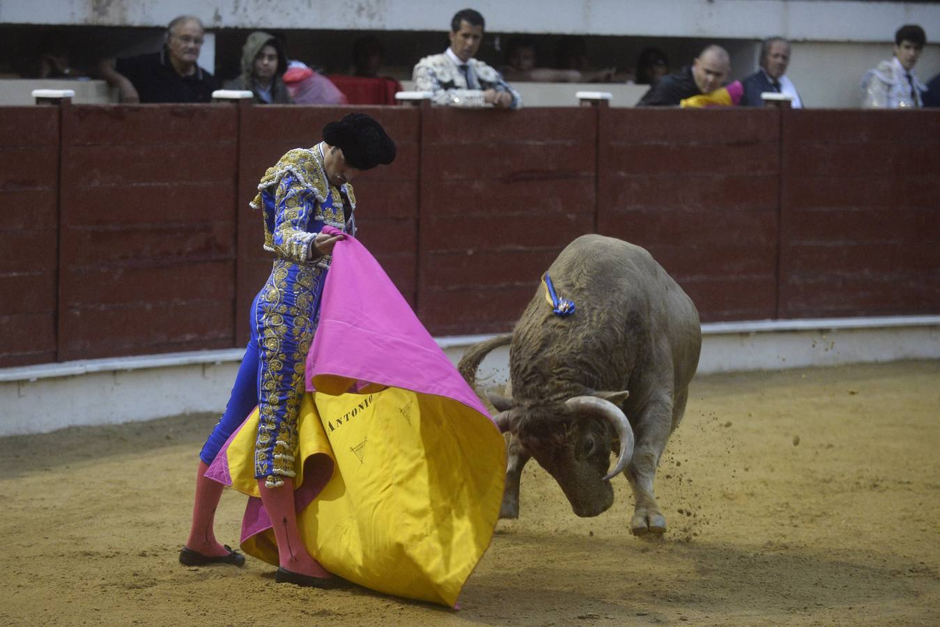 Antonio Puerta corta cuatro orejas y un rabo en la corrida de Abarán