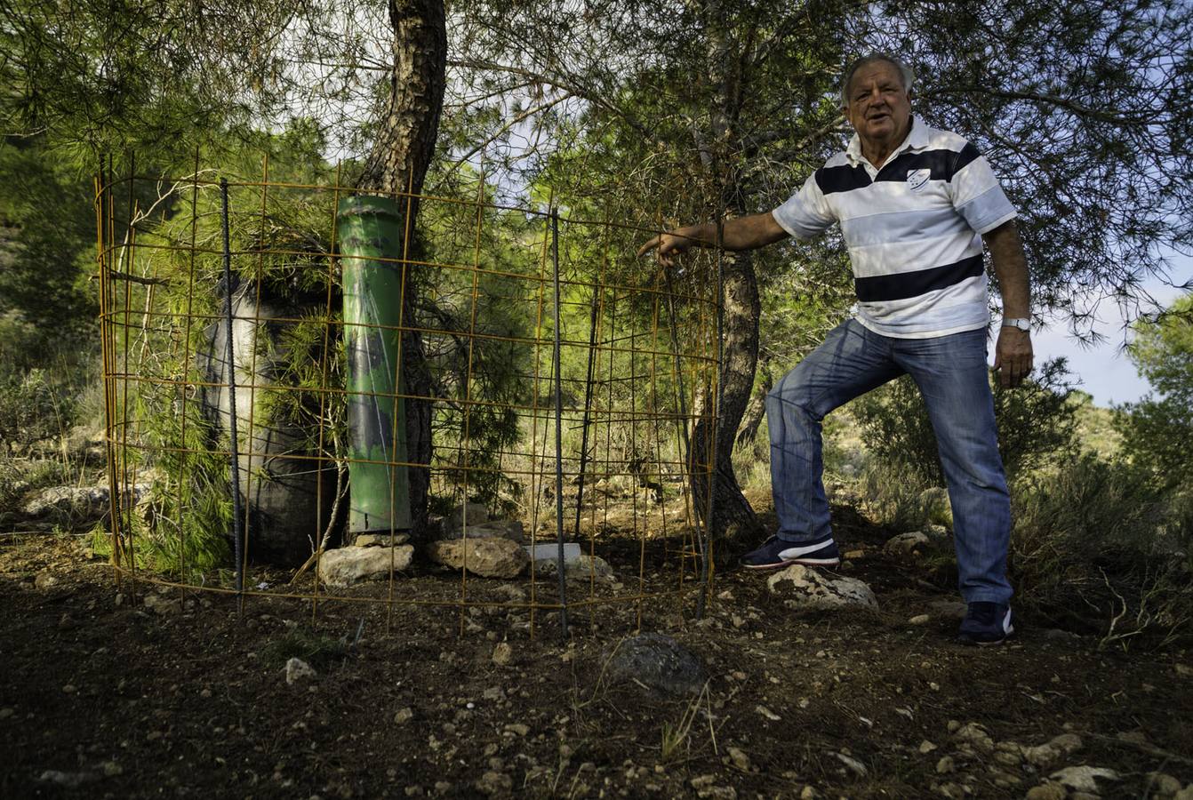 Critican los daños ocasionados al terreno por el arrastre de pinos con &#039;tomicus&#039;