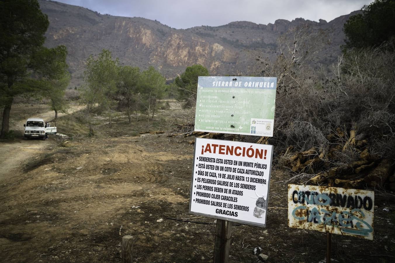 Critican los daños ocasionados al terreno por el arrastre de pinos con &#039;tomicus&#039;