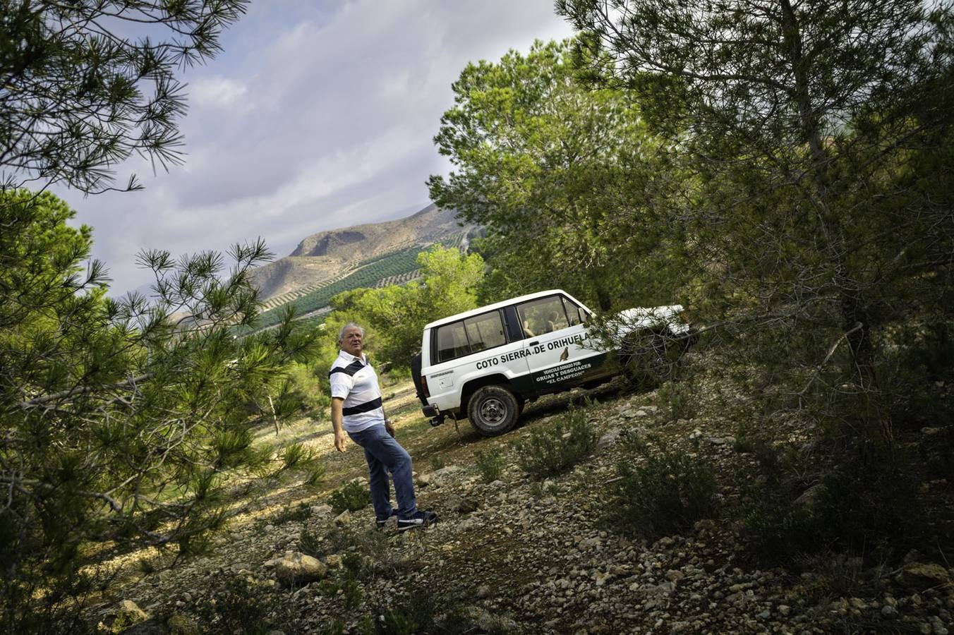 Critican los daños ocasionados al terreno por el arrastre de pinos con &#039;tomicus&#039;