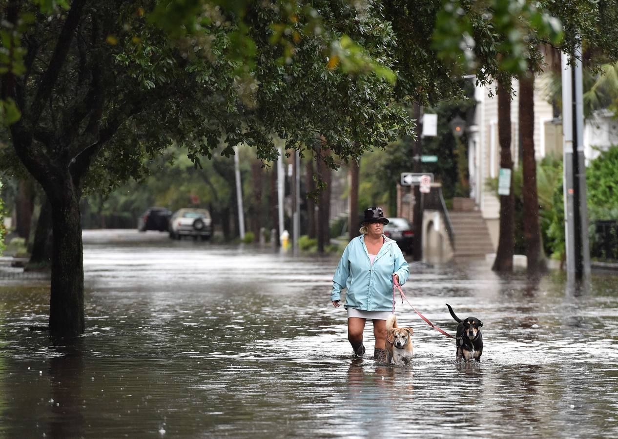 Charleston pasada por agua