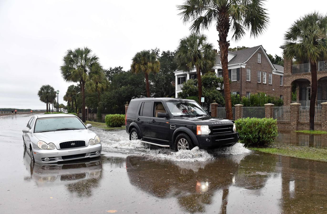 Charleston pasada por agua